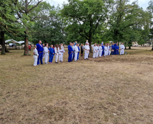 Bild_2022-07-31_232343422