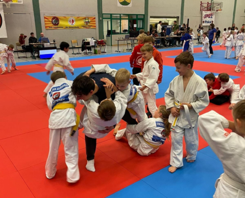 Bild_2022-11-16_202631232