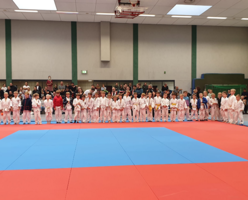 Bild_2022-11-16_202723130