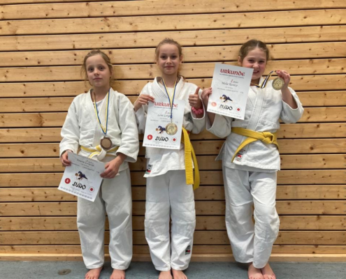 Bild_2022-11-21_203655346