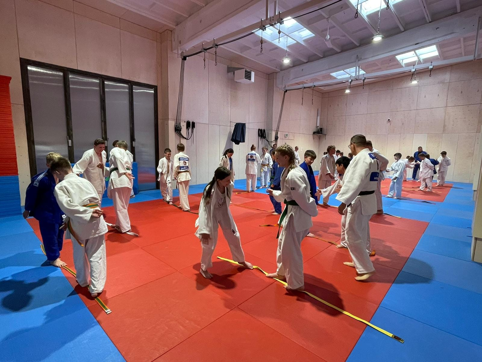 Bild_2023-06-06_194302033