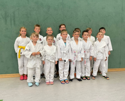 Bild_2023-06-06_194840585