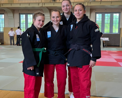 Bild_2023-06-18_225229391