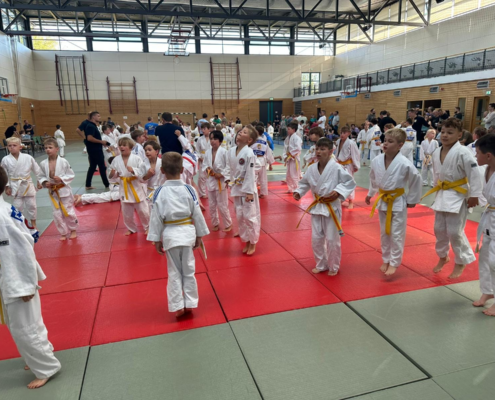 Bild_2023-09-11_192535581