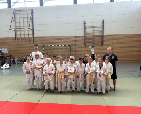 Bild_2023-09-11_192541329