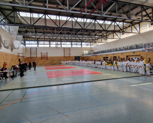 Bild_2024-06-08_113819194