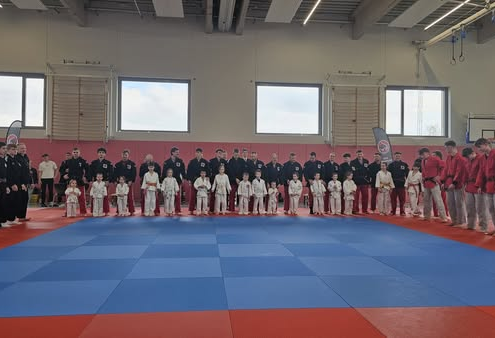 Bild_2025-03-18_004625092