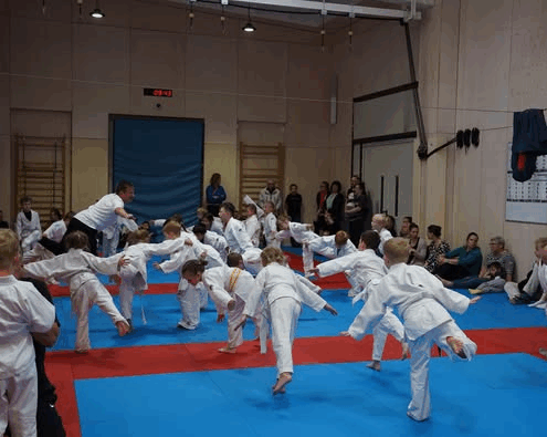 Bild_2025-05-18_231028039