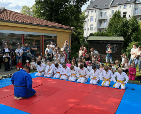 Bild_2025-06-07_224658913