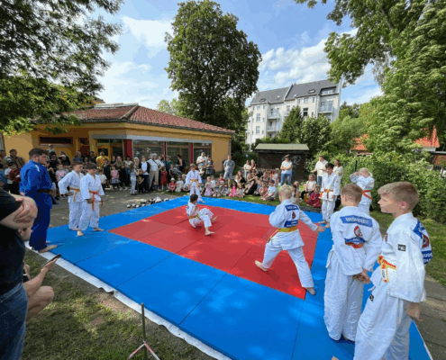 Bild_2025-06-07_224704858