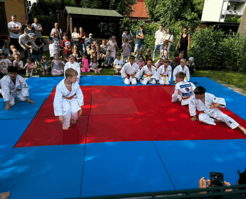 Bild_2025-06-07_224711651