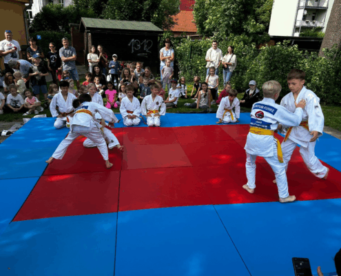 Bild_2025-06-07_224717390