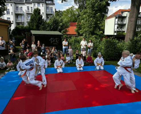 Bild_2025-06-07_224722294