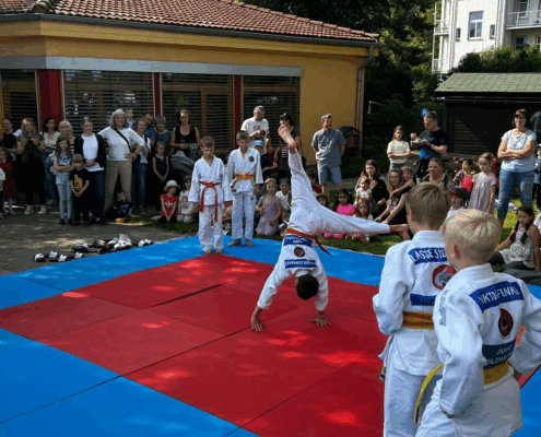 Bild_2025-06-07_224727706