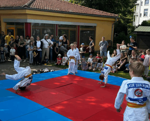 Bild_2025-06-07_224732669