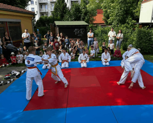 Bild_2025-06-07_224738253