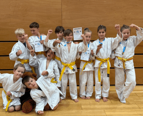 Bild_2025-06-15_205544613