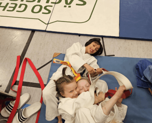 Bild_2026-04-11_154223954